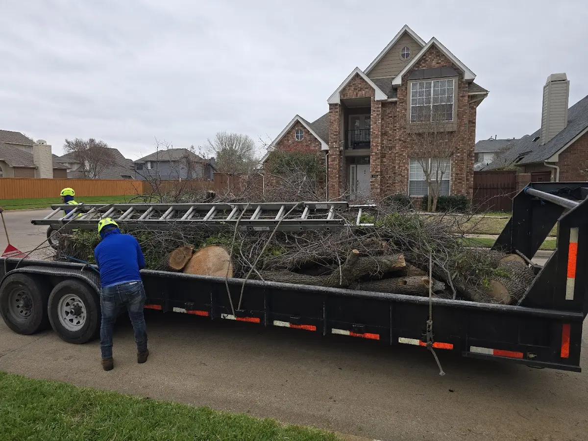 Expert Lot Clearing with proper safety equipment in Sand Fork